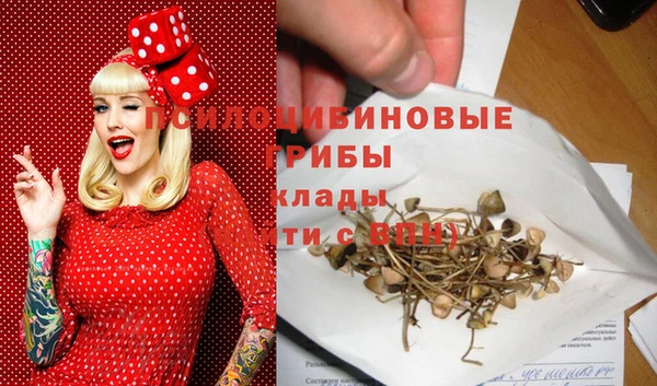 дурь Алзамай