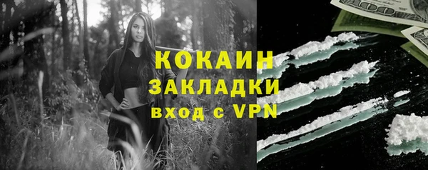 шишки Строитель